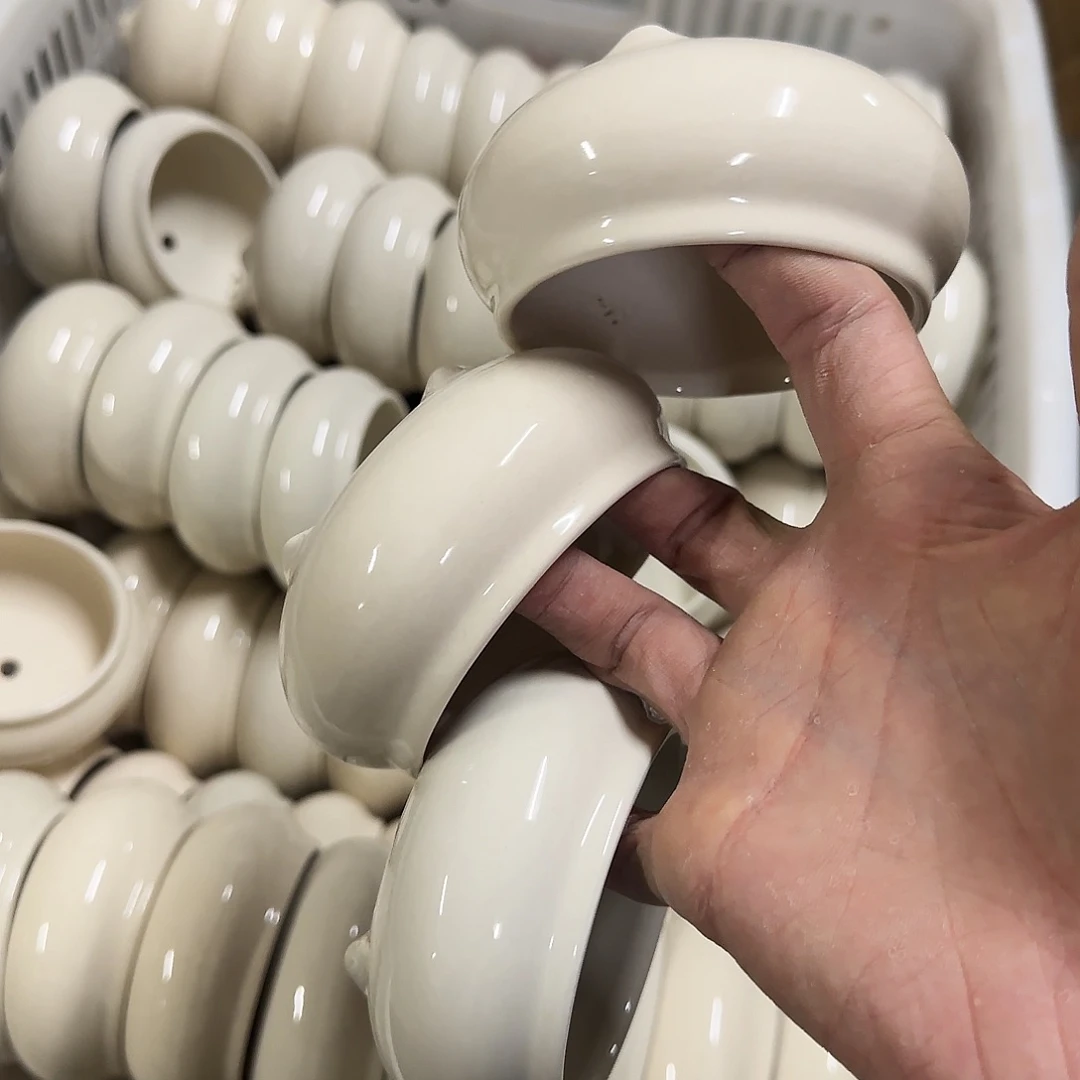 3个福利局绿植多肉盆［凑9元包邮24小时发］