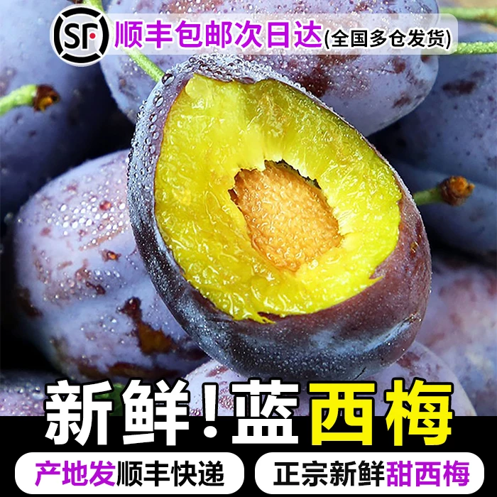 KL【顺丰包邮】新鲜现摘西梅当季鲜果放软后吃香甜多汁次日达