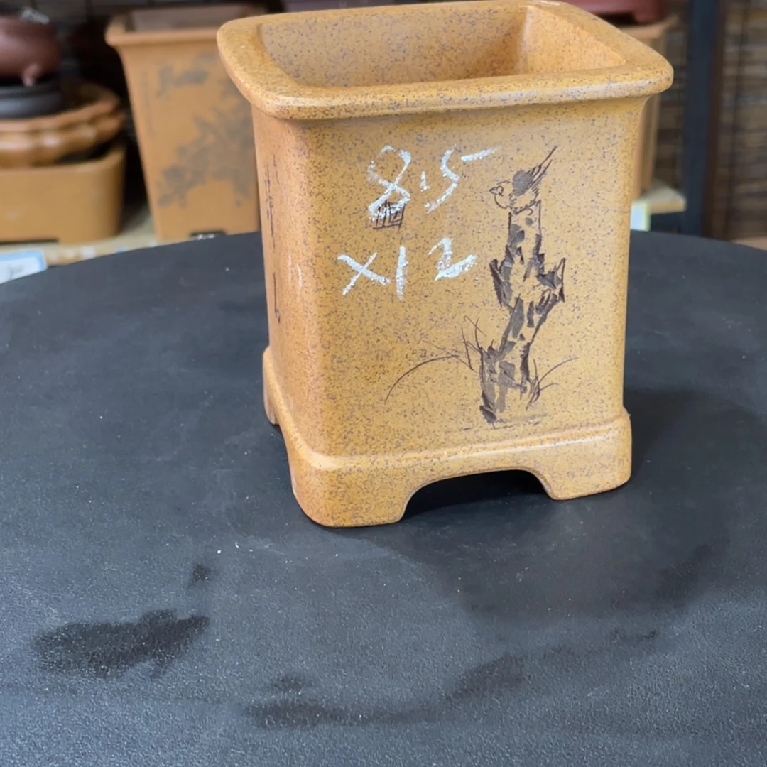 花盆紫砂在你身边