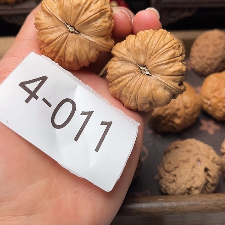 核桃41南瓜墩4011