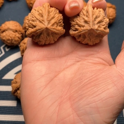 橄榄核手串/手链文山三棱全品34