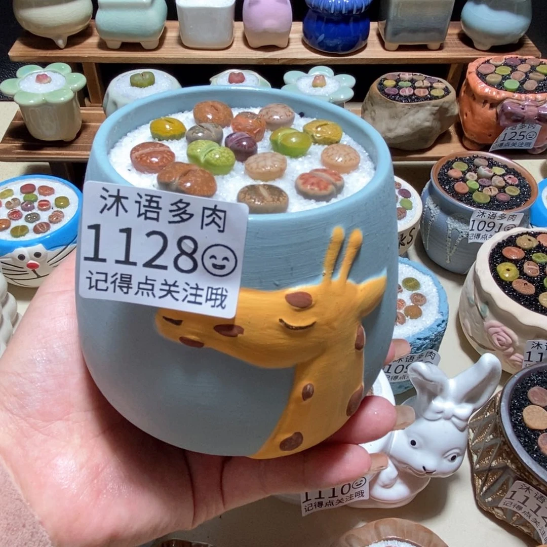 所见即所得 一物一拍 1128