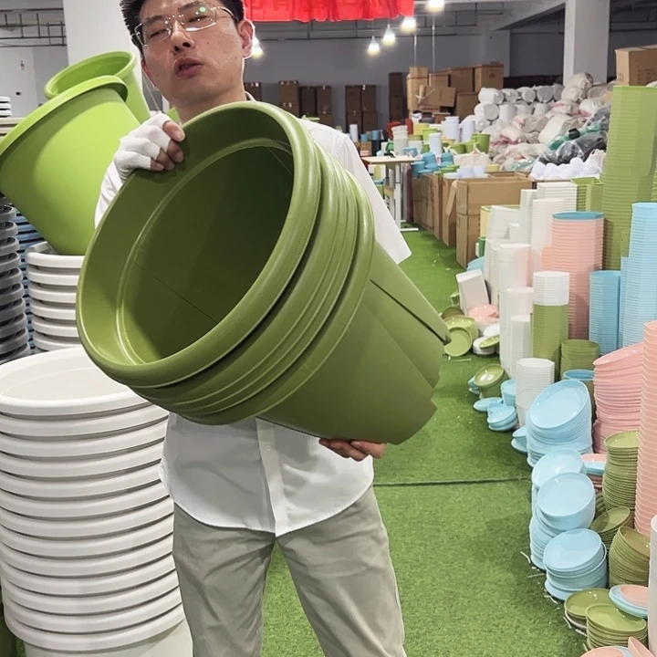 青山口40高34果绿5只无托