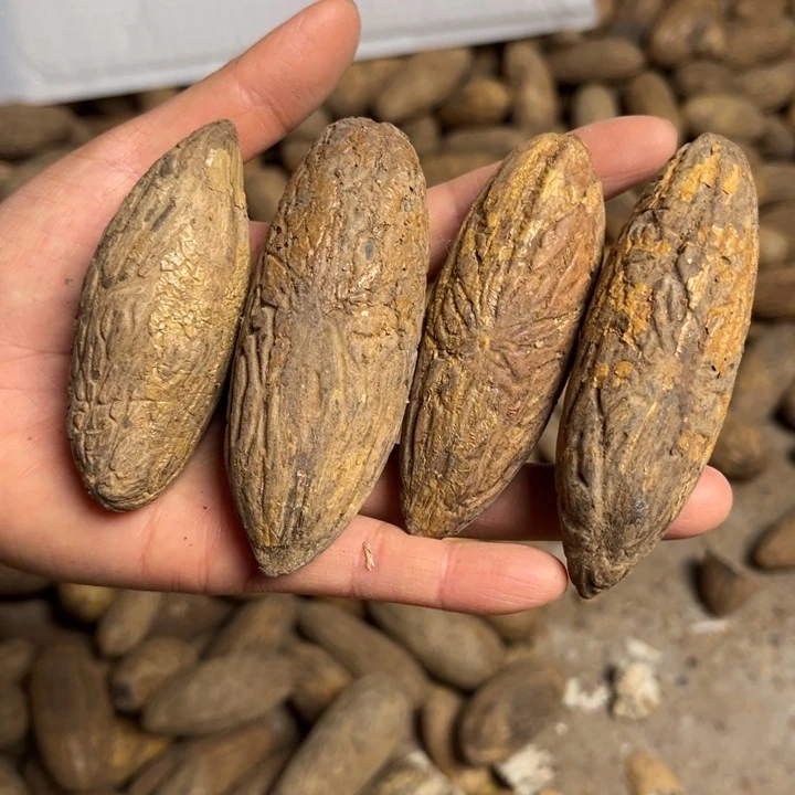 吊坠千眼菩提千眼菩提第23