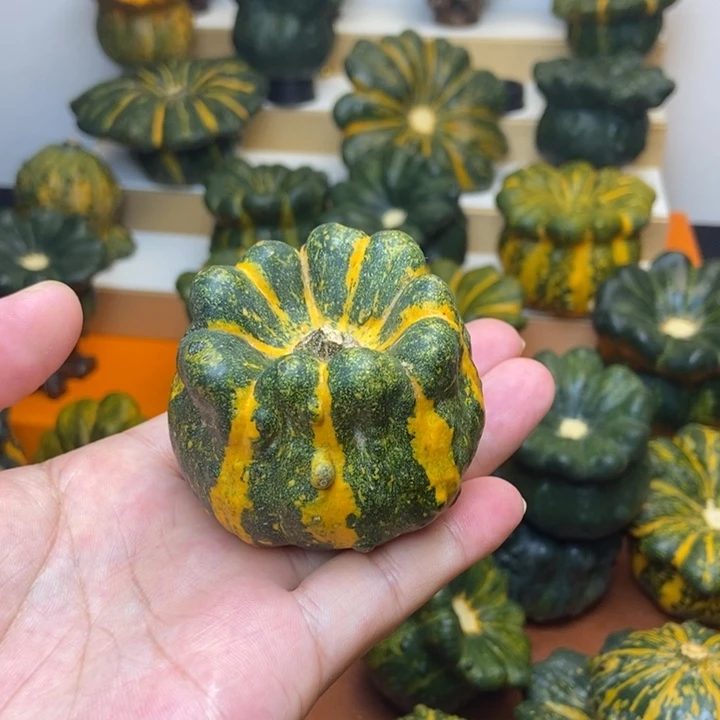 福利福利福利福利