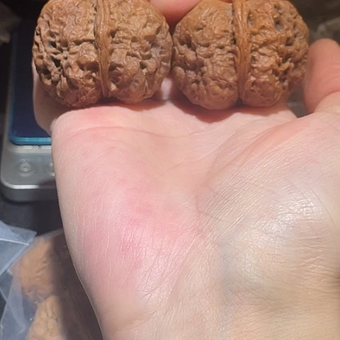 把件文玩核桃黑山老蟾带彩43