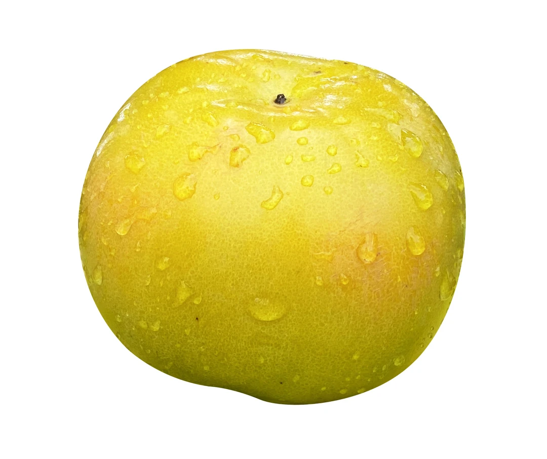 【大秋脆甜柿】桂林正宗大秋甜脆甜柿子皮薄肉厚新鲜采摘产地