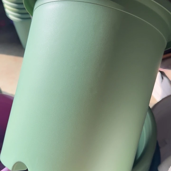 四季7号新绿色无托6个特价微瑕