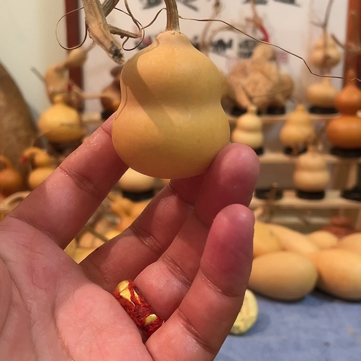 文玩葫芦胖墩墩葫芦