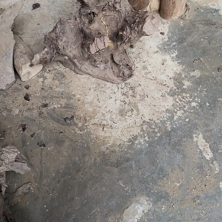 笑***笑金丝楠木小叶桢楠