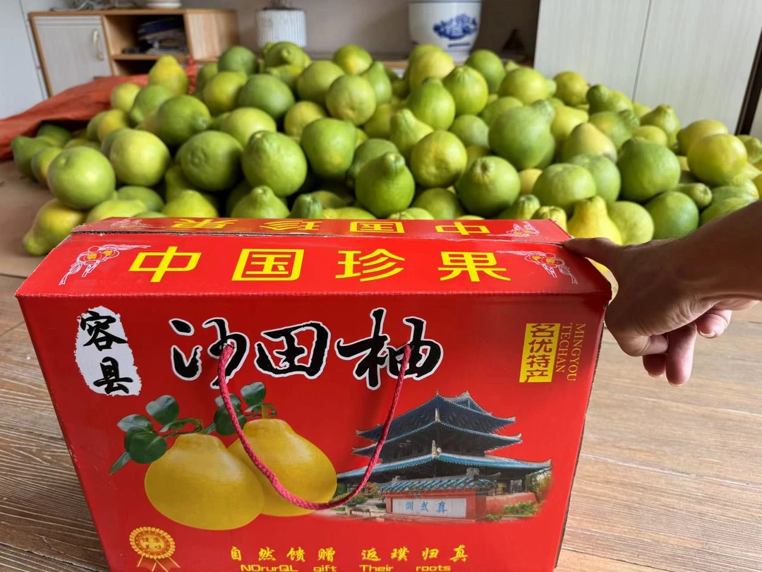 广西容县正宗沙田柚子广西容县特产新鲜应季健康水果新鲜脆甜包邮