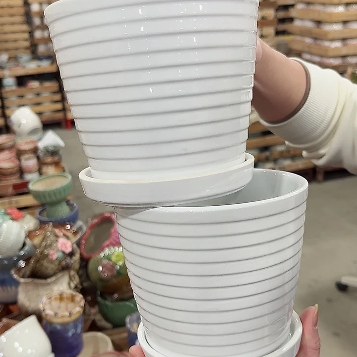 陶瓷陶瓷多肉植物花盆