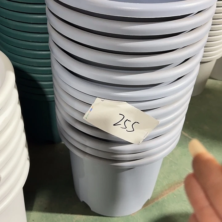 编号255瑕疵7个无托