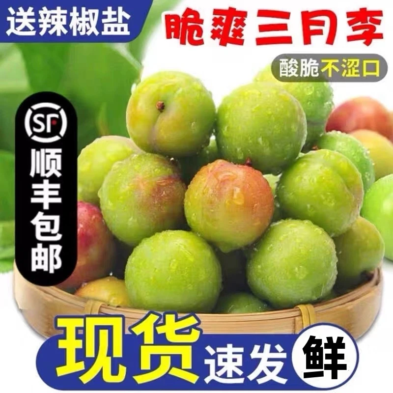 顺丰广东三月李新鲜水果酸甜爽口早熟青李1/3斤孕妇开胃当季现摘2