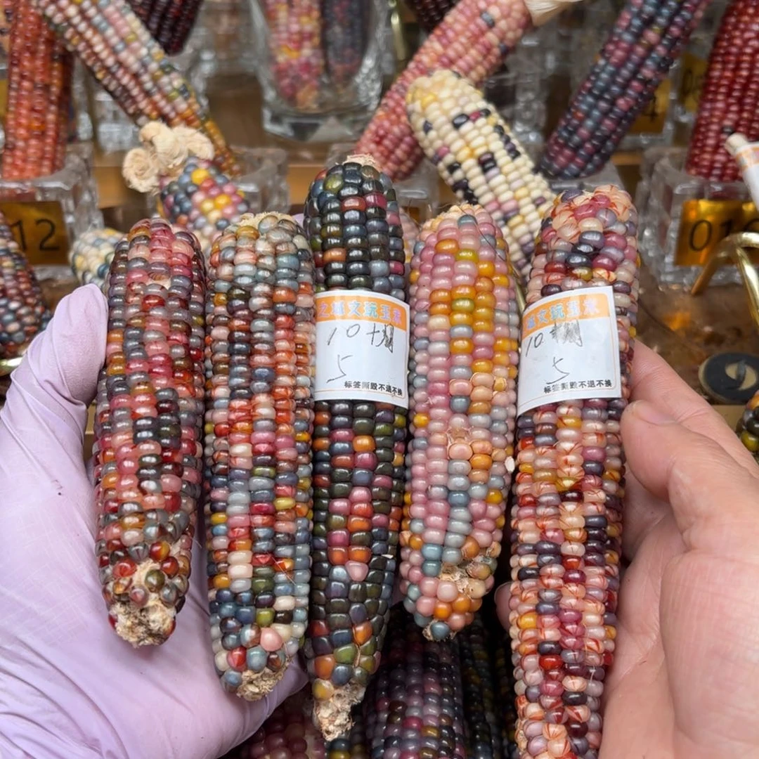 柏香籽/百香籽吊坠1****6