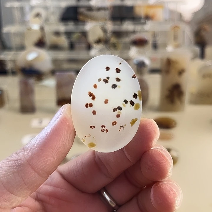 玛瑙/玉髓吊坠(不含链)未镶嵌