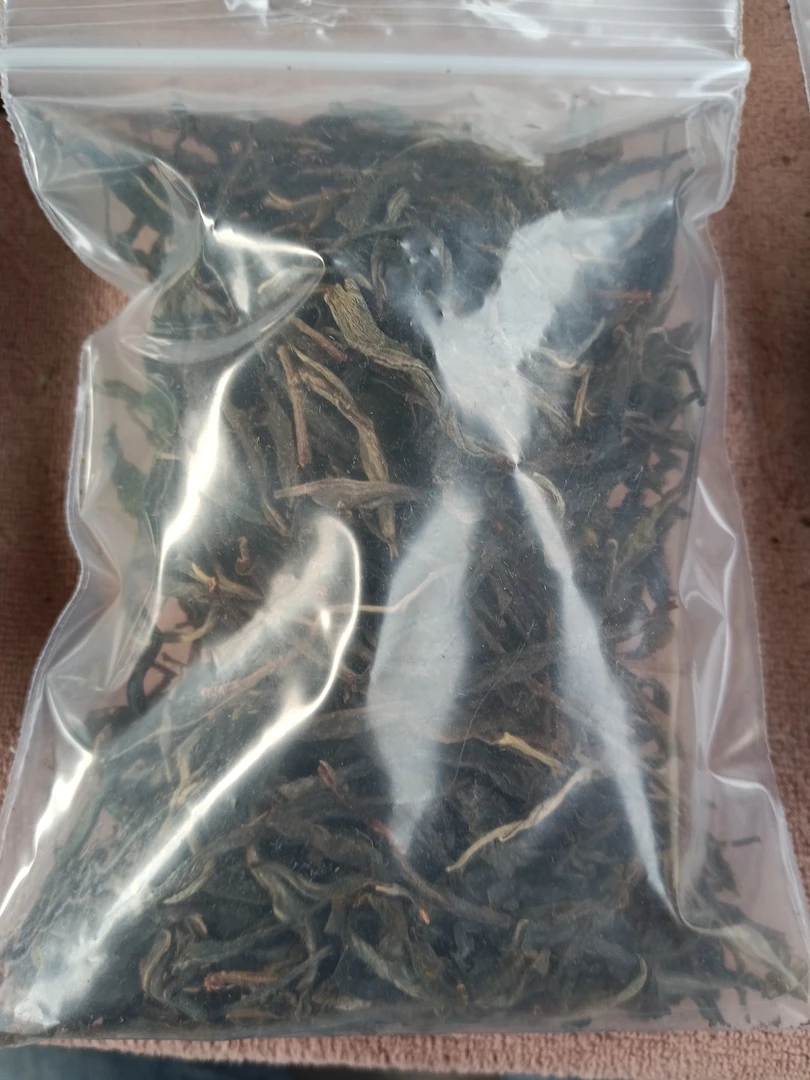 试喝装(  三棵树  赛昔归 野生红 野山白各20g）