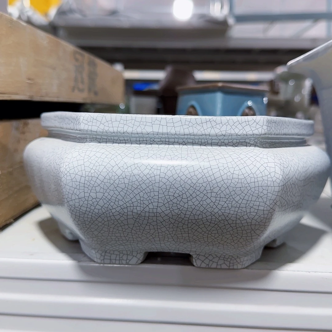 陶瓷花盆特价上新