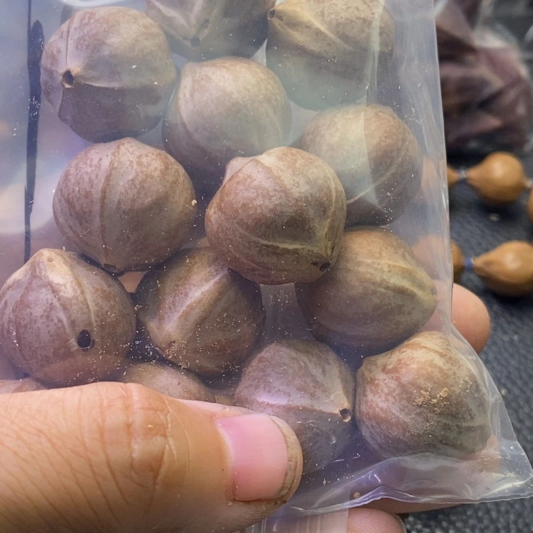 凿***叔橄榄核手串/手链1