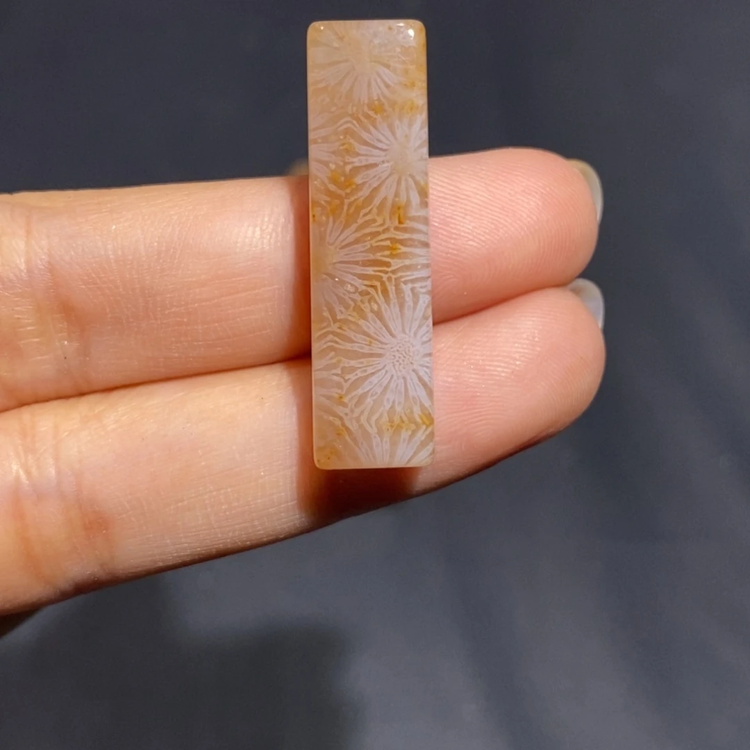 【闪购商品】未镶嵌珊瑚玉硅化玉