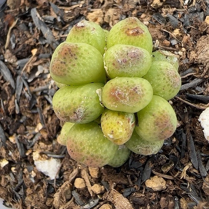 856龙猫斑马福利福利