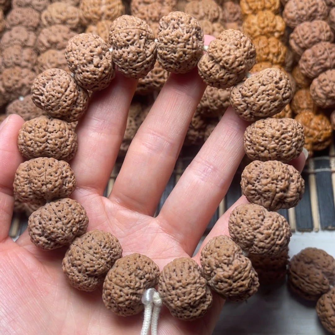 菩提25号金刚菩提夹板菠萝蜜22