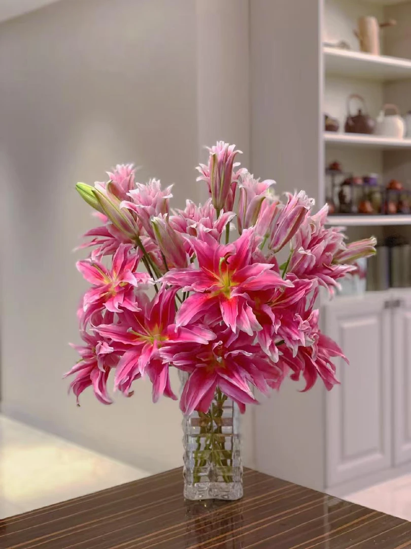 【挚爱重瓣百合】 全场任意两单京东/顺丰