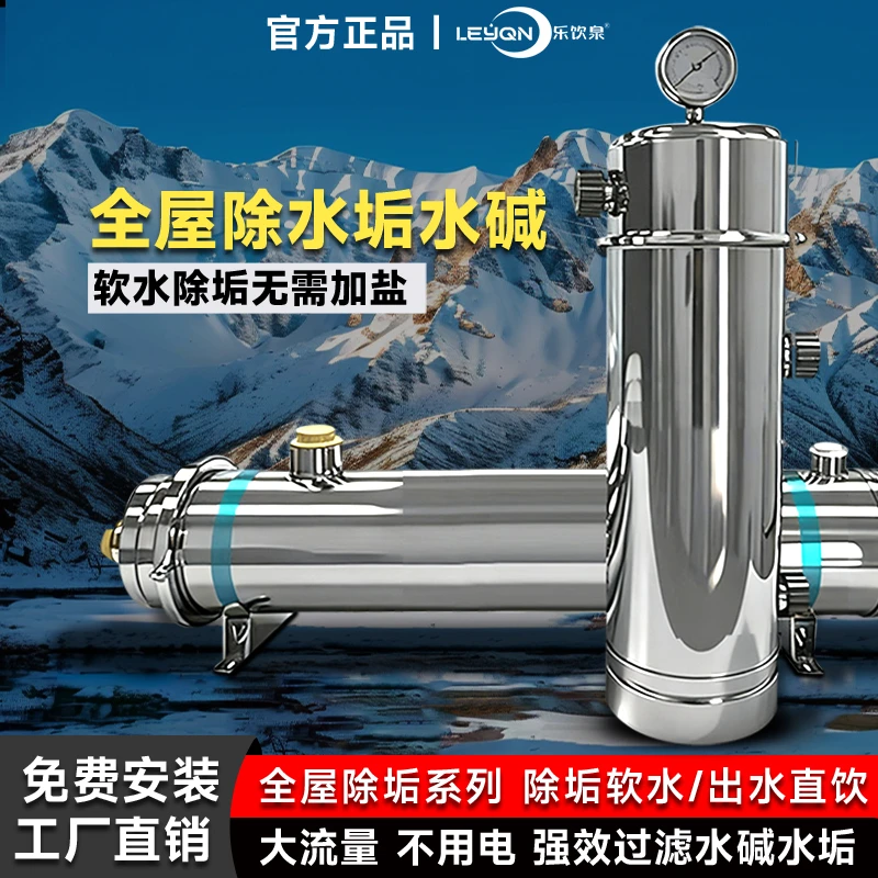除水垢碱过滤器大流量家用自来水农村井水全屋管道水塔商用净水器