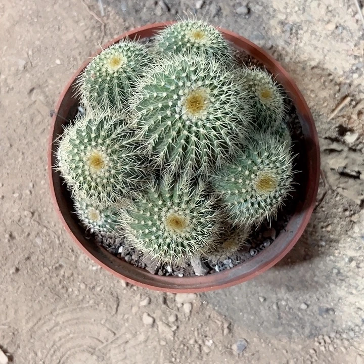 哈哈哈哈哈哈哈哈哈哈哈哈哈哈