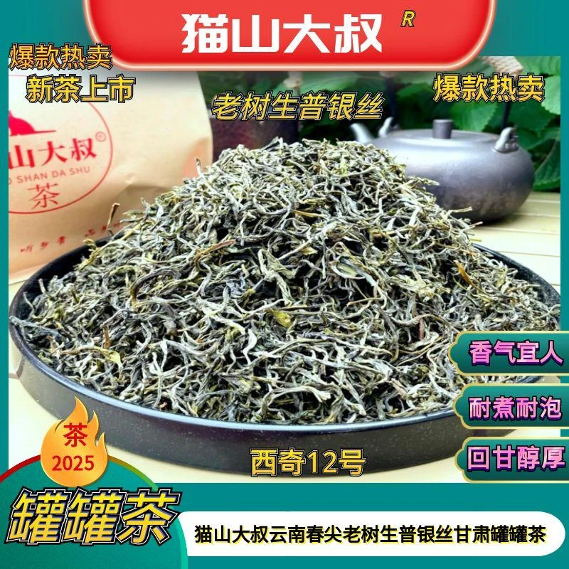 【新猫山12A号】2025新茶云南十号春尖绿茶兰州天水陕西甘肃罐罐茶