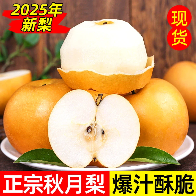 山东正宗莱西秋月梨新鲜脆甜多汁应季水果梨子包邮