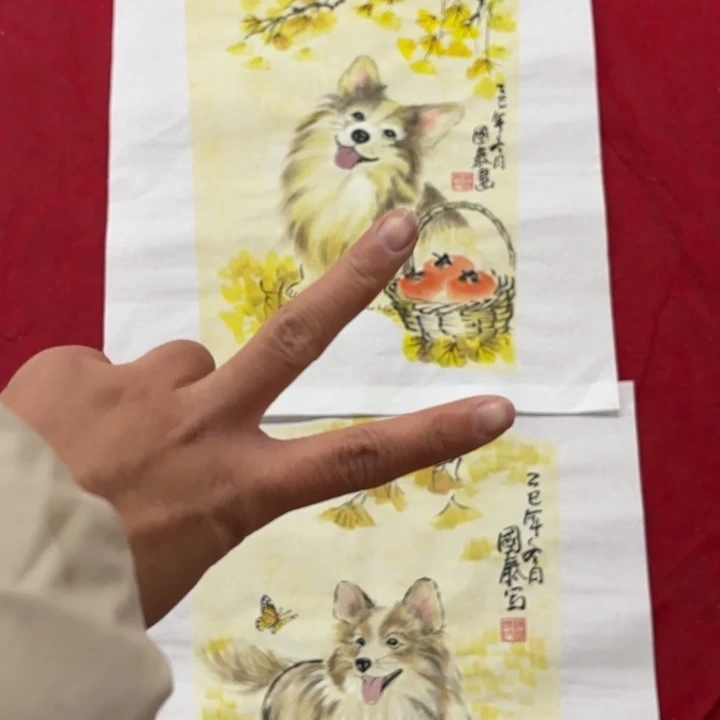 时***班国画花鸟等多种鸟类的