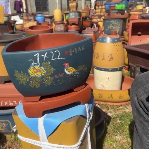 紫砂花盆紫砂花盆盆景盆栽