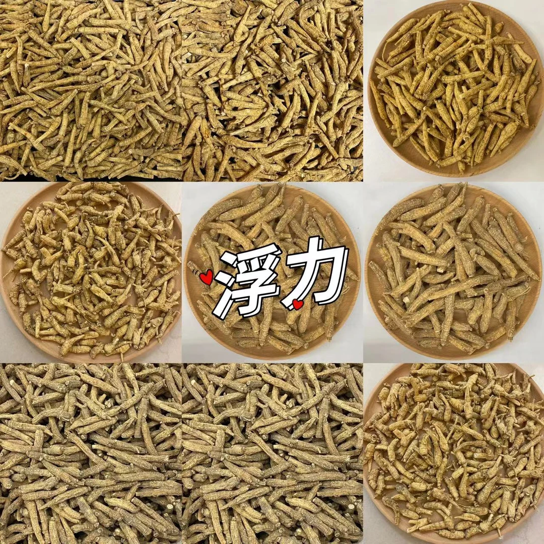 【年尾捡漏】尖尾西洋参