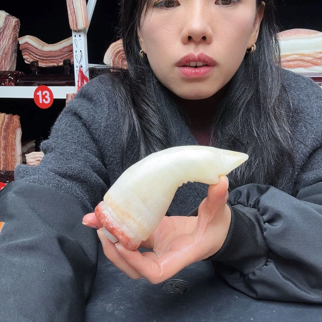 石材广西天然猪肉石头