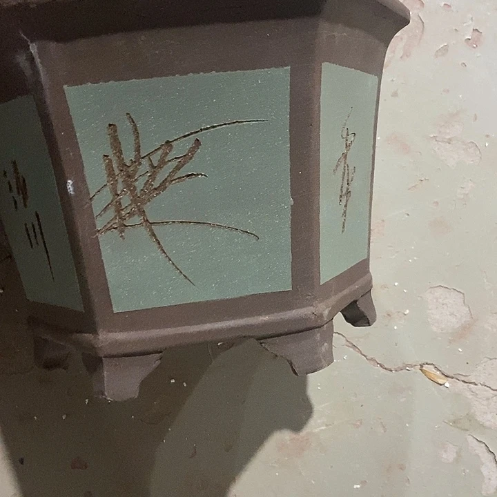 紫砂花盆32 花盆花盆花盆花盆花盆花盆花盆