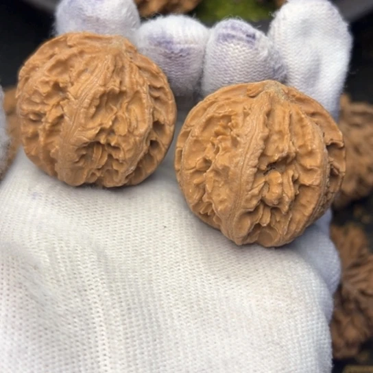 把件文玩核桃秦岭核桃9