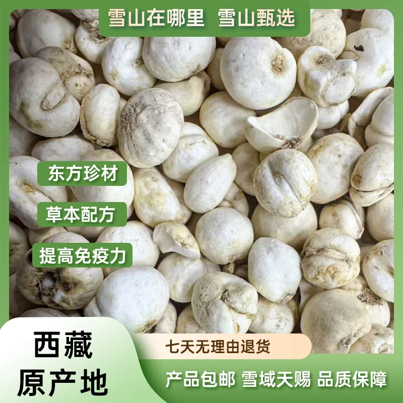【雪山甄选】西藏高山藏贝母 100克/瓶可打碎冲服/煲汤/炖冰糖雪梨
