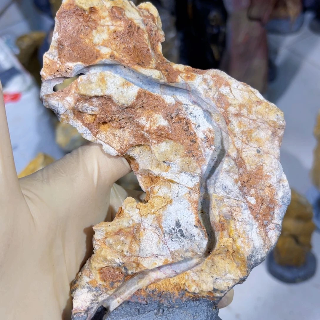 甲*附石盆景一物一拍