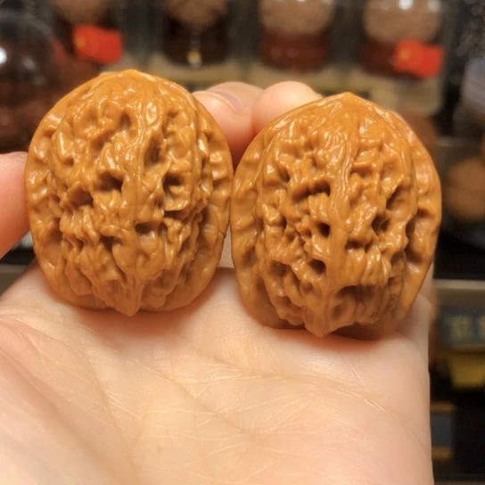 野生小众：精品红莲