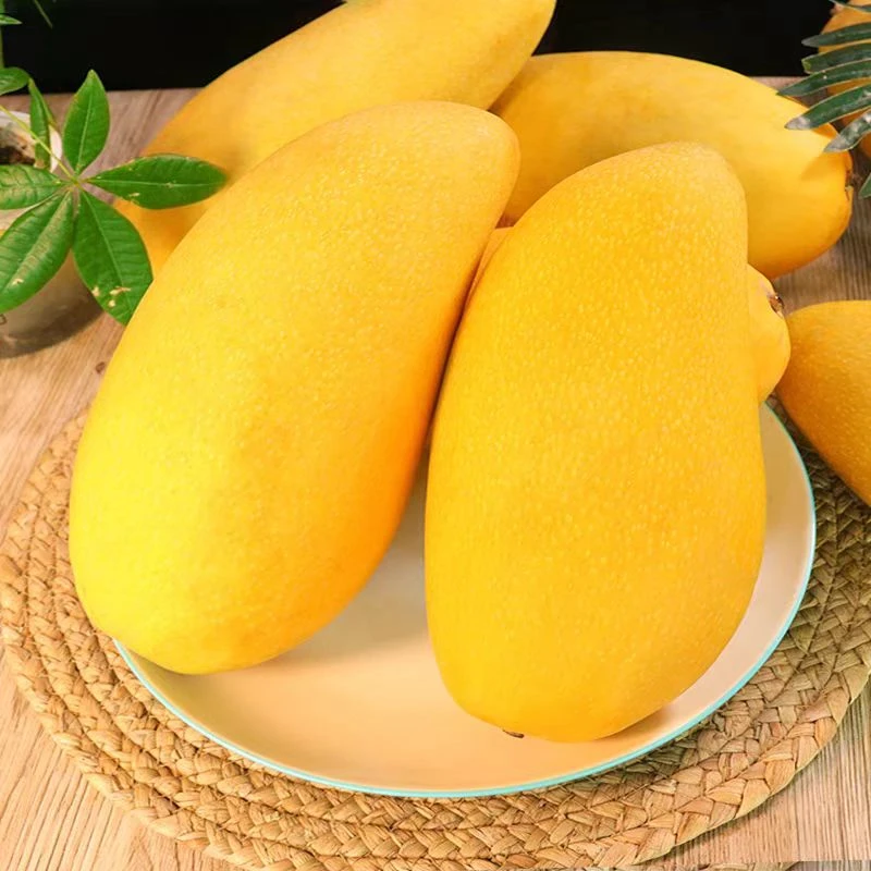 【海南纸核芒果】新鲜现采热带水果自然成熟水仙金煌芒2/5/8斤