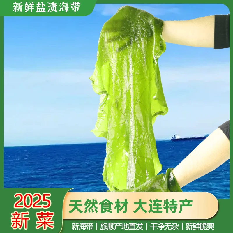 【山东优选】25年大连旅顺新鲜盐渍整颗海带 净含量4.6斤