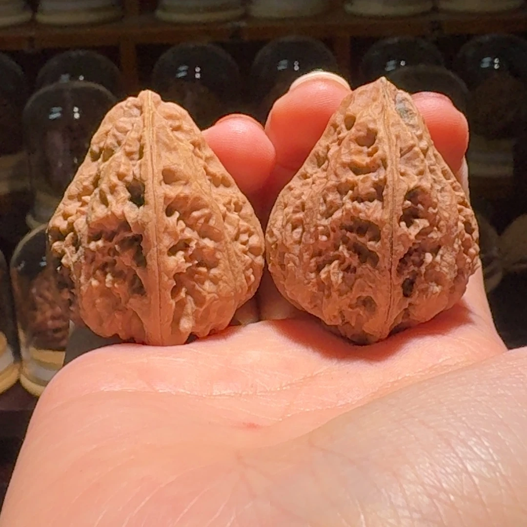 吊坠文玩核桃奶嘴