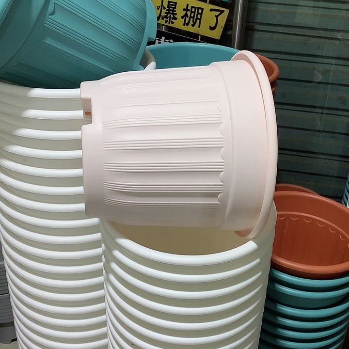 罗马口28粉4个无托