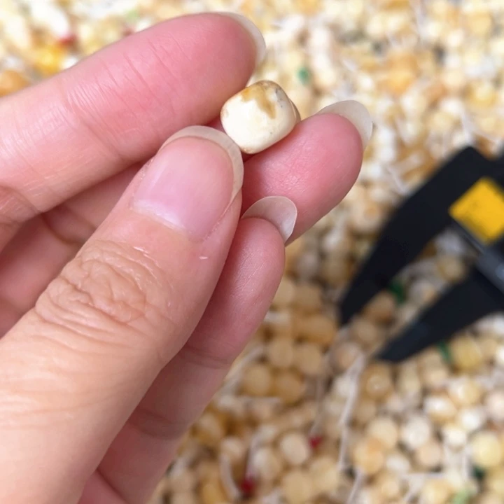 蜜蜡未镶嵌裸石9.6mm一个