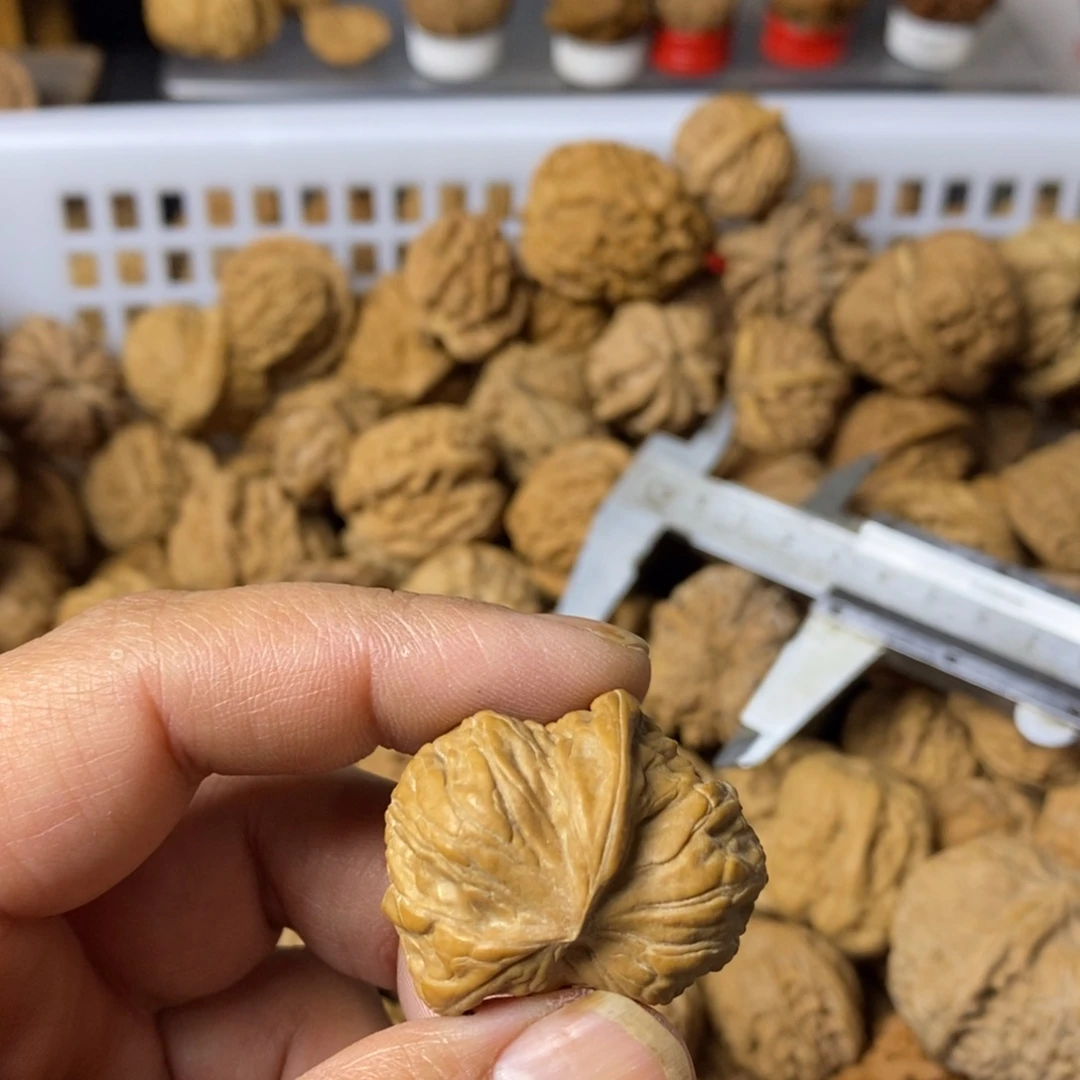 追****大叶紫檀（黑酸枝木类）