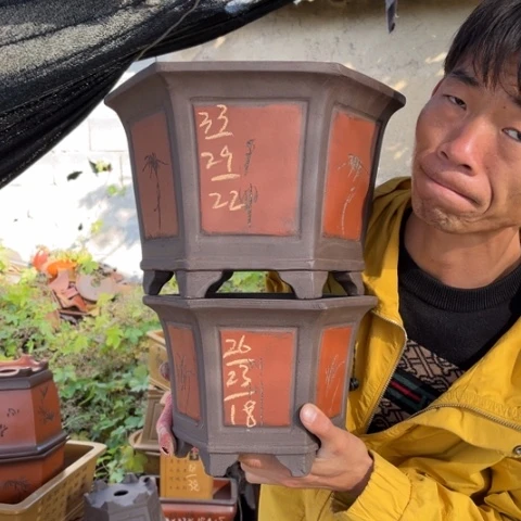 花盆紫砂特价特价包邮新款