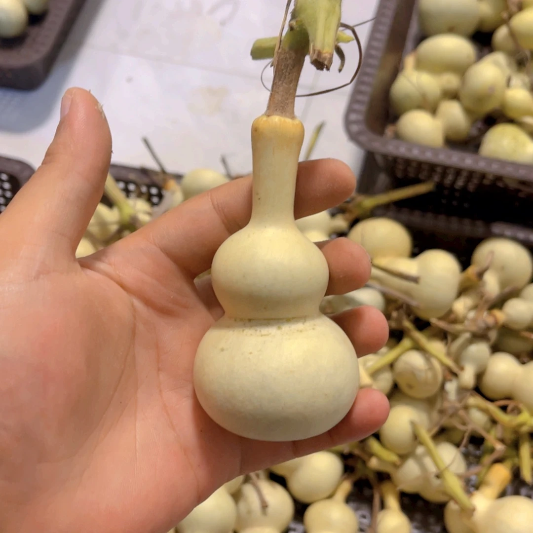 醒***烂感谢大哥支持兄弟不保