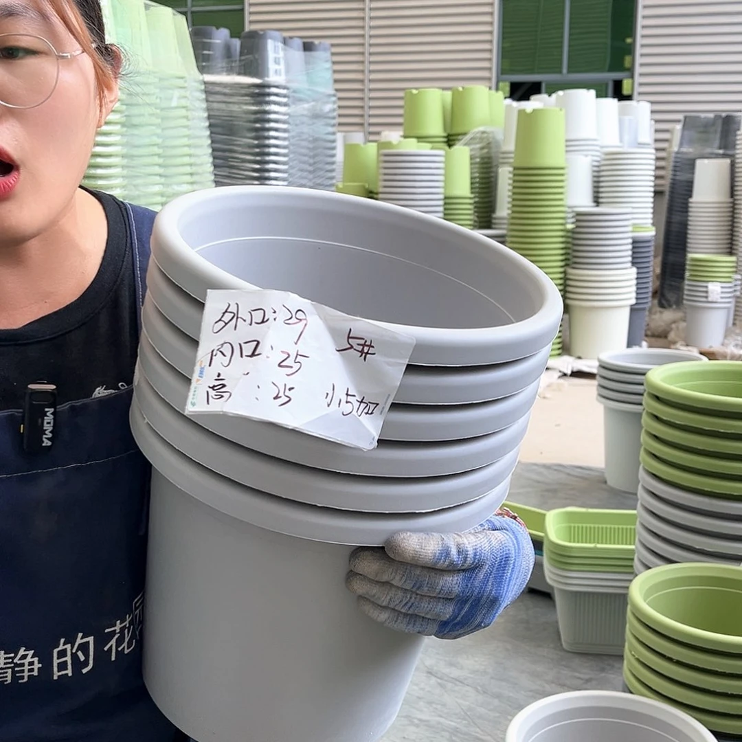 四季盆5#灰白色6个无托