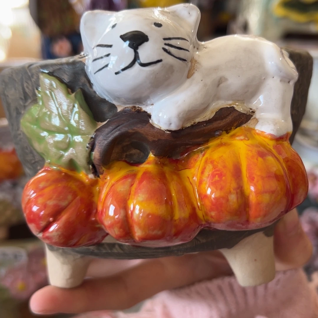 满20发花盆爱退拉黑